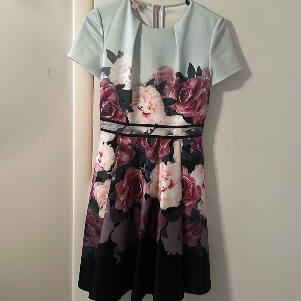 Ted baker dress worn once